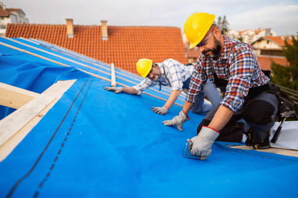 Best Roof Moss and Algae Removal  in Mountain View, HI